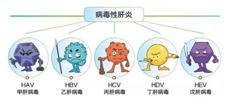 图片2_副本.jpg